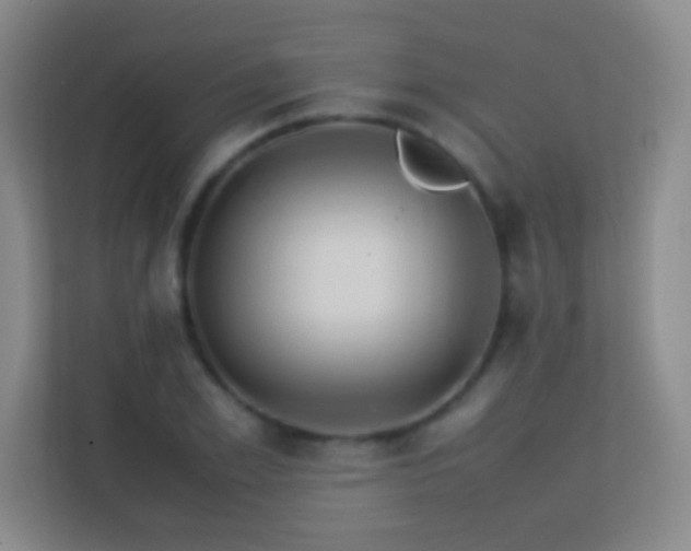 X0000113640981200909251237