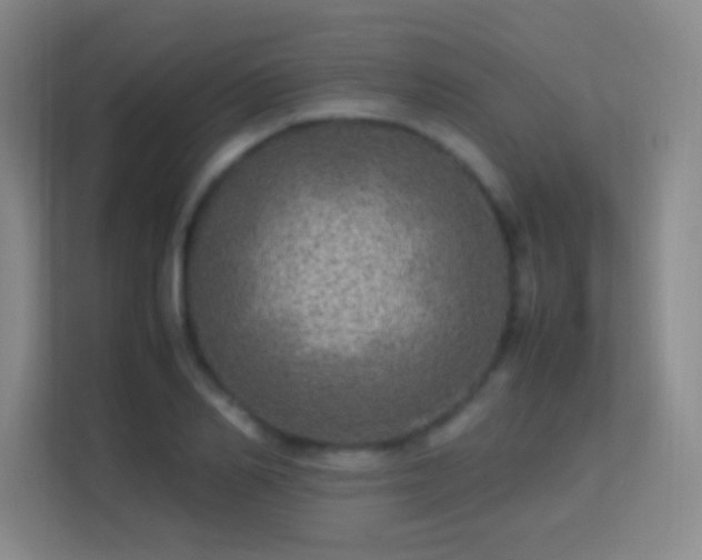 X0000113640982200909251237