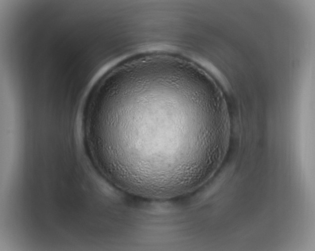 X0000113640983200909251237