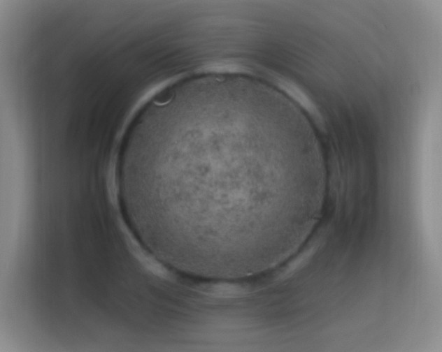 X0000113640984200909251237