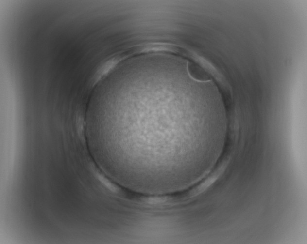 X0000113640985200909251237