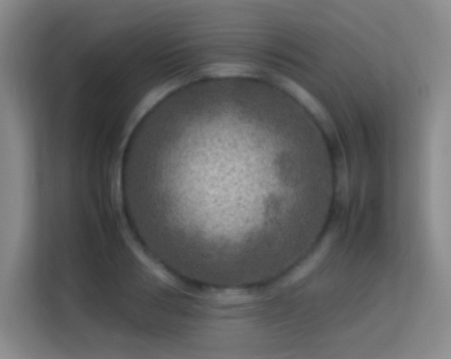 X0000113640986200909251237