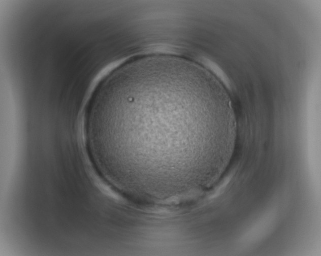 X0000113640987200909251237