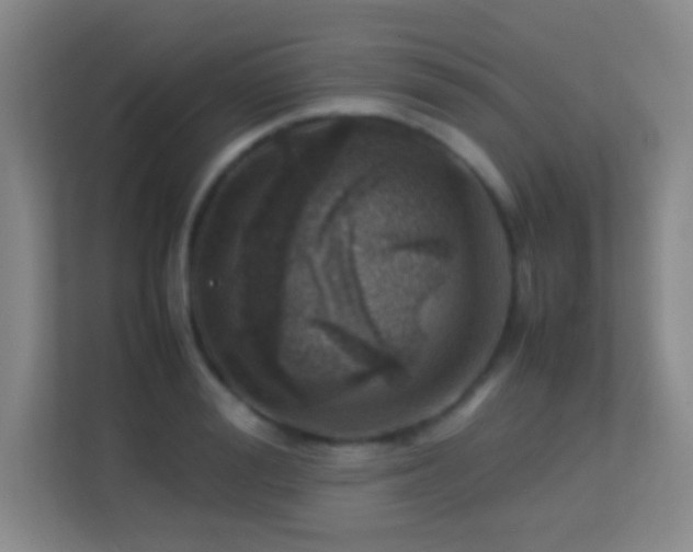 X0000113640988200909251237