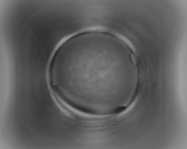 X0000113640989200909251237