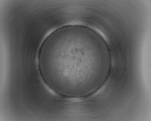 X0000113640990200909251237