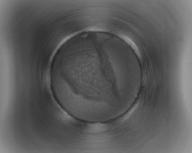 X0000113640992200909251237