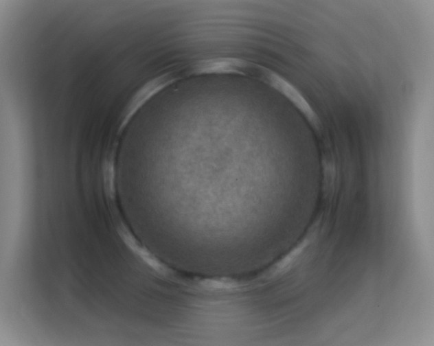 X0000113640994200909251237