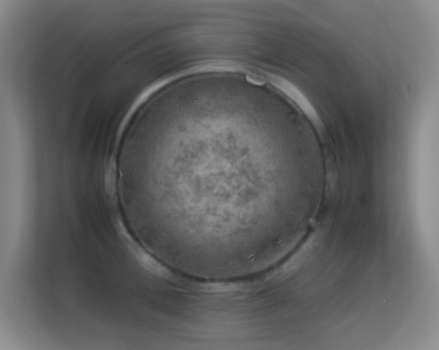 X0000113640996200909251237