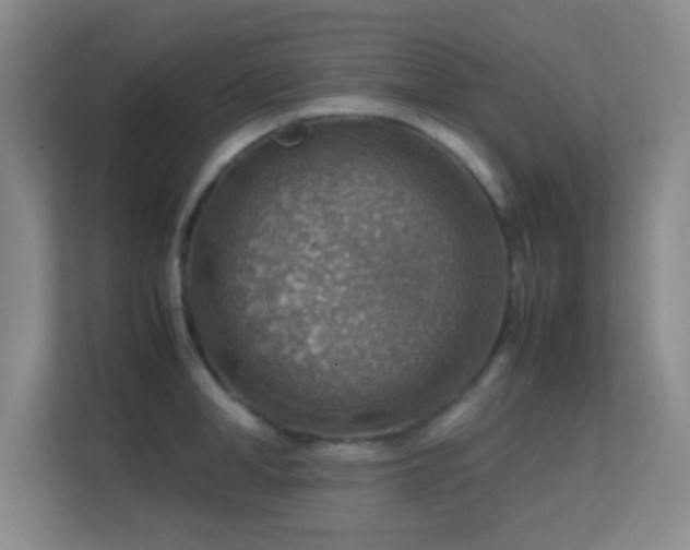 X0000113640998200909251237