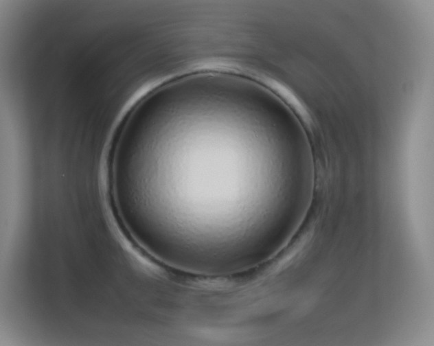 X0000113640999200909251237