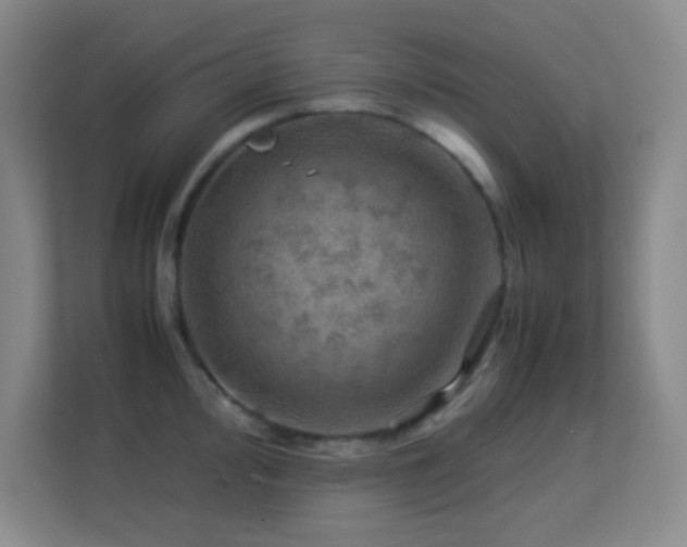 X0000113641000200909251237