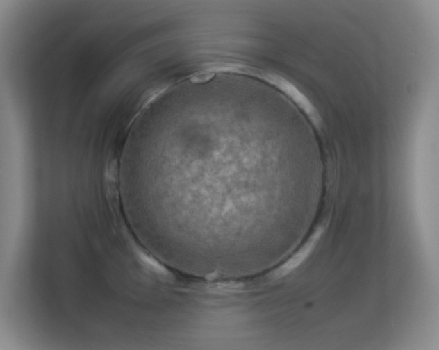 X0000113641001200909251237