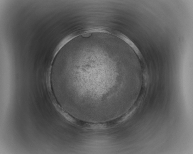 X0000113641002200909251237