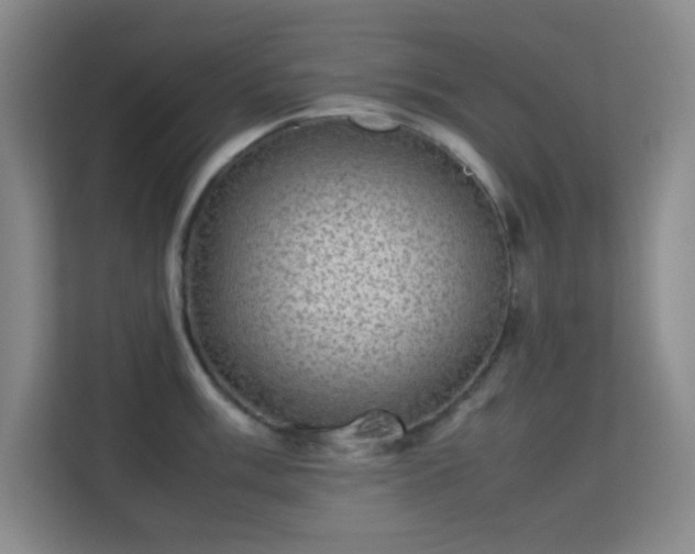 X0000113641003200909251237