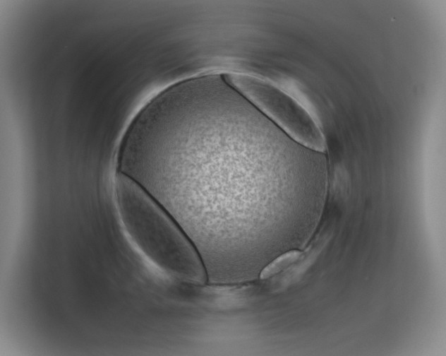 X0000113641005200909251237