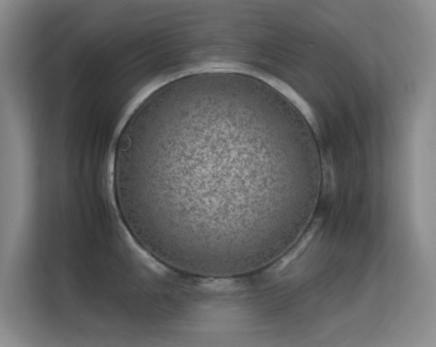 X0000113641006200909251237