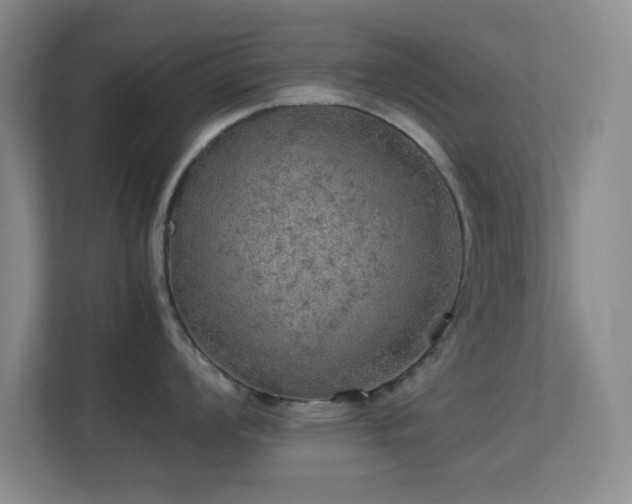 X0000113641008200909251237