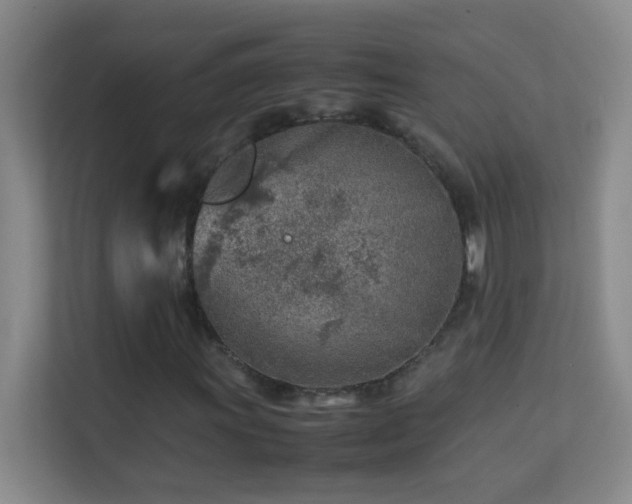 X0000113641011200909251236