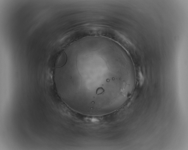 X0000113641013200909251236