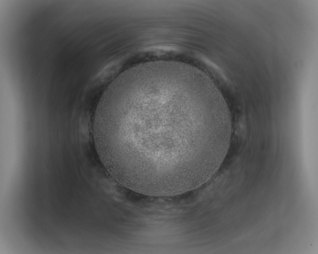 X0000113641014200909251236