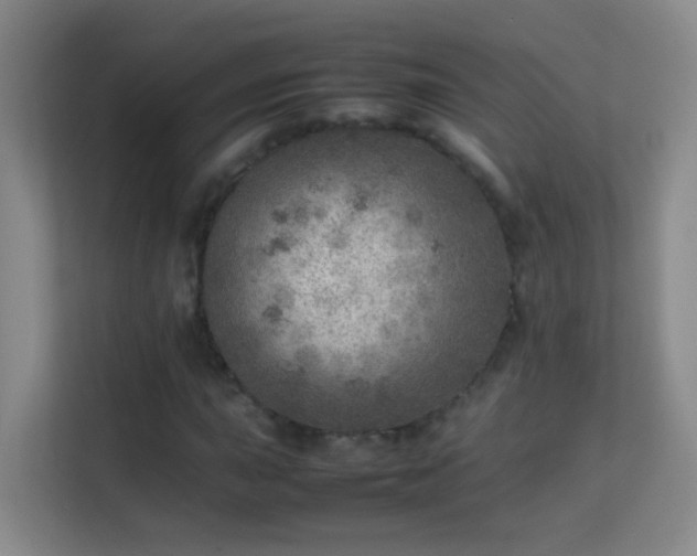 X0000113641015200909251236