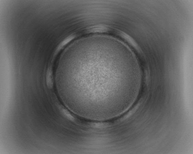 X0000113641018200909251236