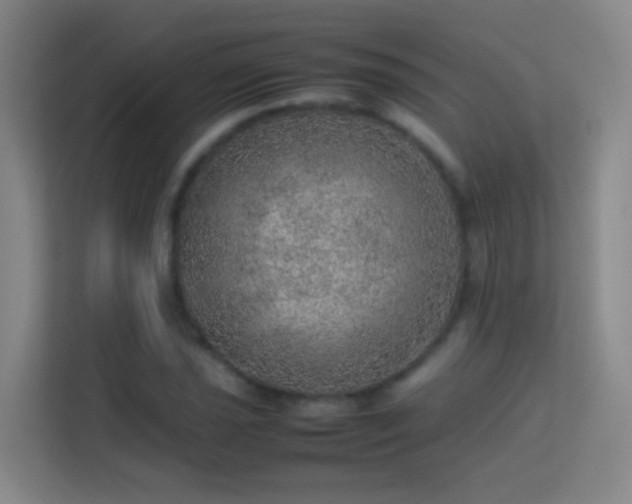 X0000113641021200909251236