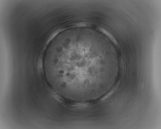 X0000113641023200909251236