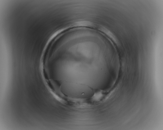 X0000113641024200909251236