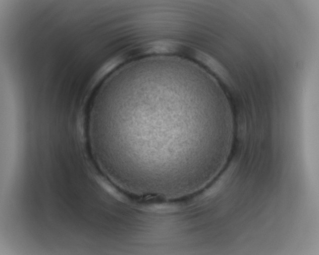 X0000113641026200909251236