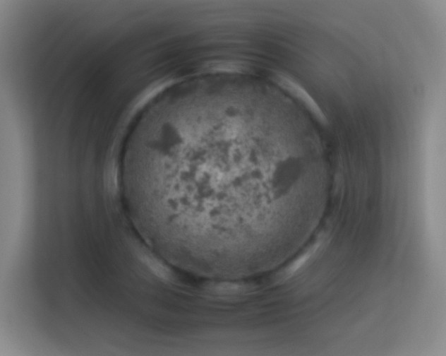 X0000113641027200909251236