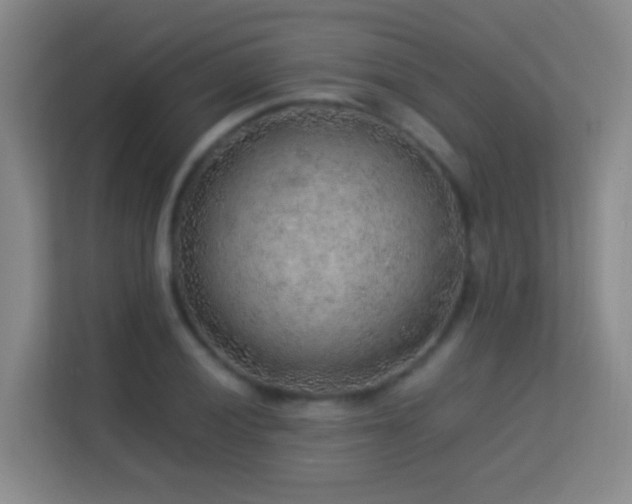 X0000113641028200909251236