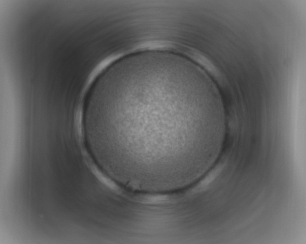 X0000113641030200909251236