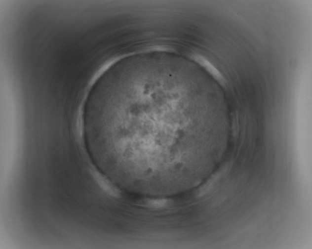 X0000113641031200909251237