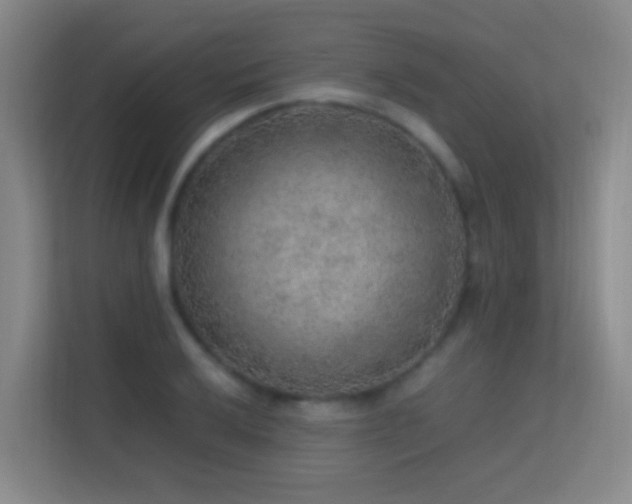 X0000113641032200909251237