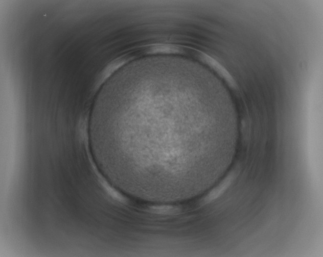 X0000113641033200909251237