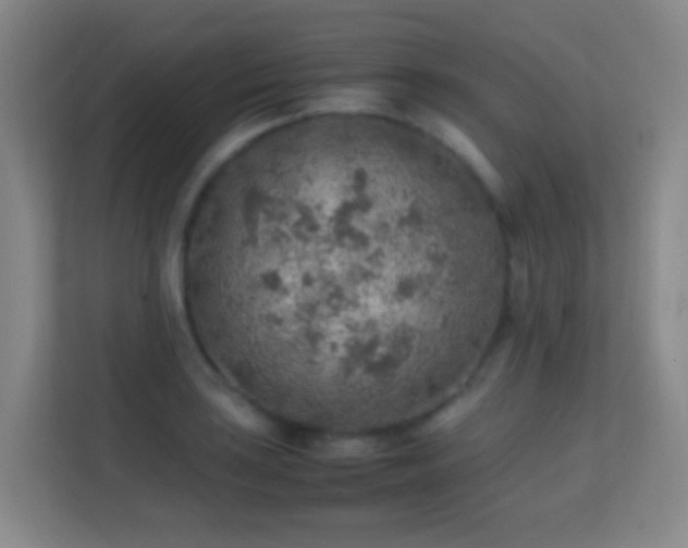 X0000113641035200909251237