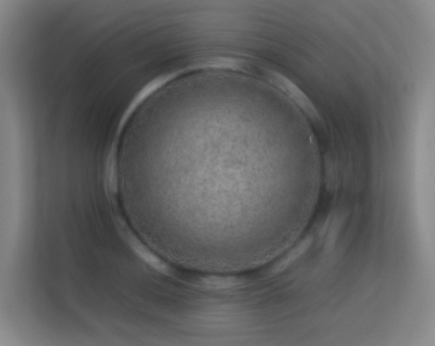 X0000113641036200909251237