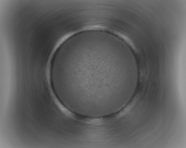 X0000113641038200909251237