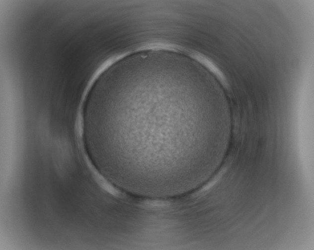 X0000113641040200909251237