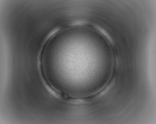 X0000113641042200909251237