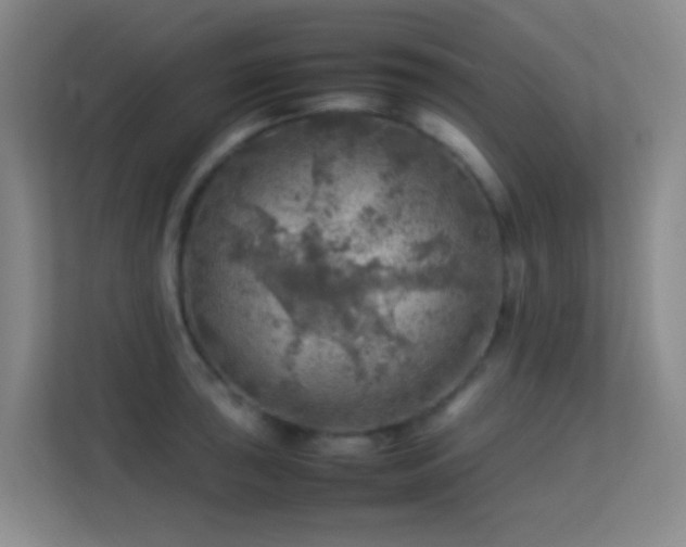 X0000113641043200909251237