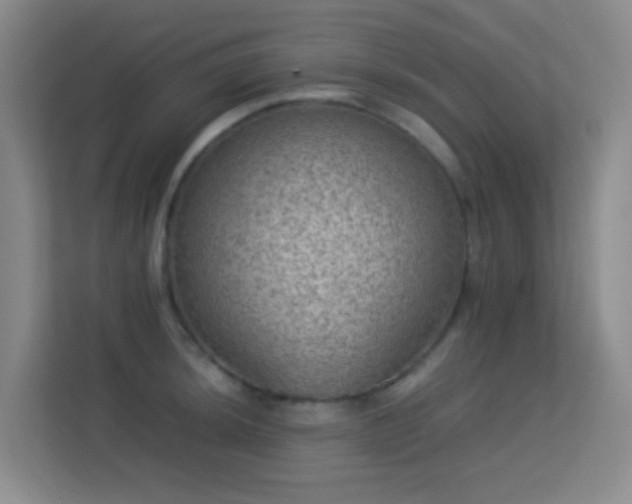 X0000113641044200909251237