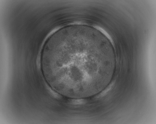 X0000113641045200909251237