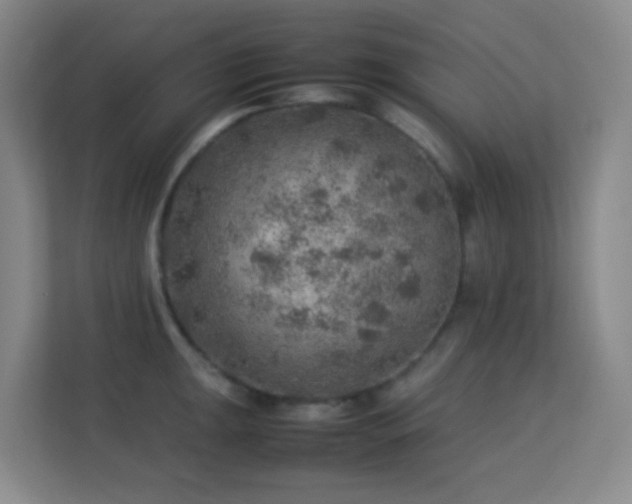 X0000113641047200909251237