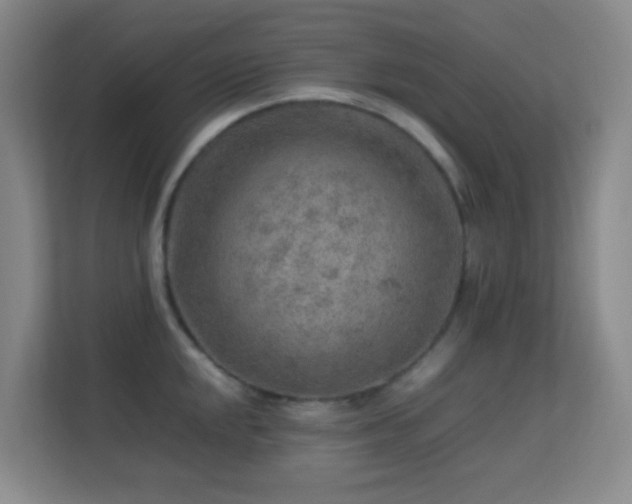 X0000113641048200909251237