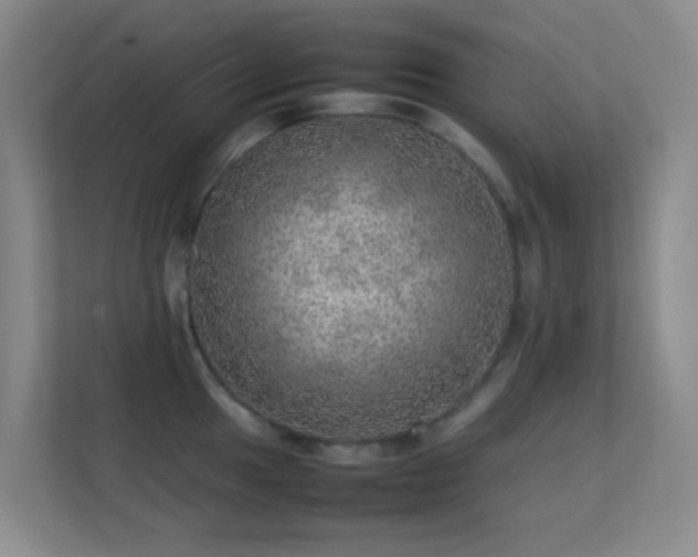 X0000113641049200909251237