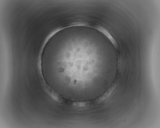 X0000113641051200909251237