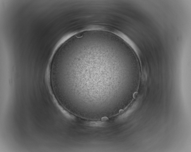 X0000113641053200909251237